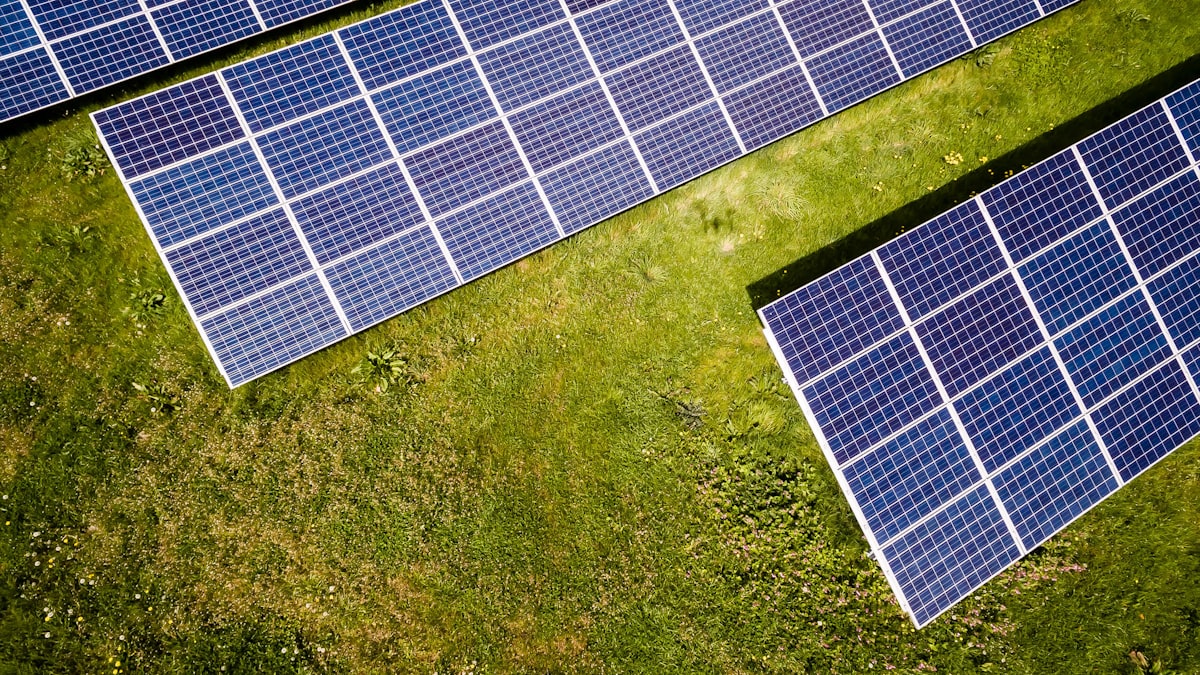 Climate Tech's Comeback: Green Startups Are Booming Again, But Not for Everyone